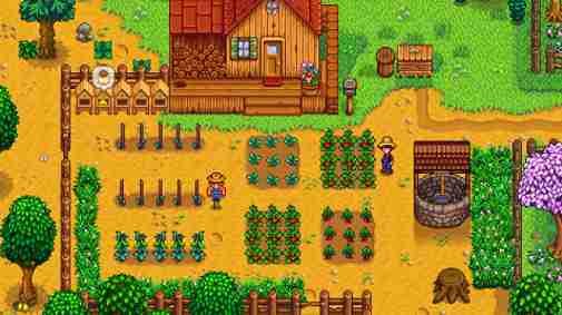 Stardew Valley