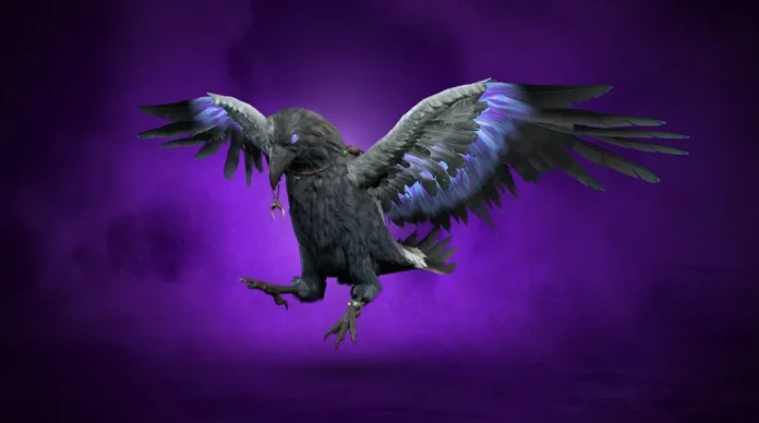 d4-bird